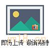 行車30噸電子吊(diào)秤(chèng)